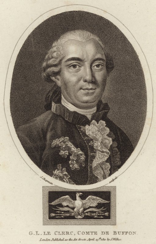 Portrét Georges-Louis Leclerc, hrabě z Buffonu od English School