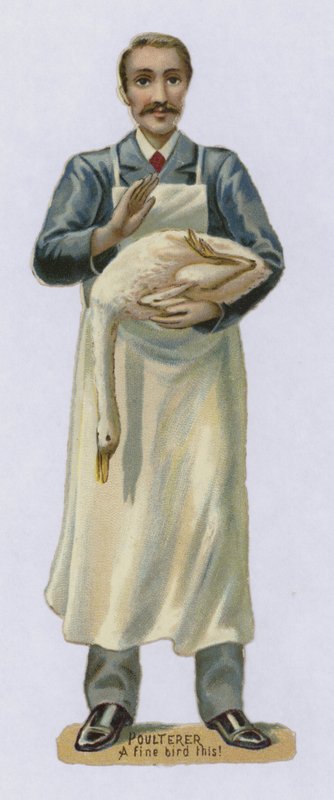 Poulterer, A Fine Bird This od English School