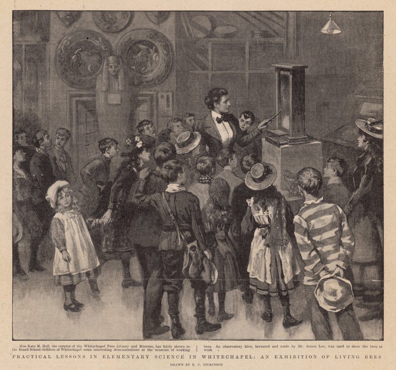 Praktická výuka elementárních věd ve Whitechapel; Výstava živých včel od English School