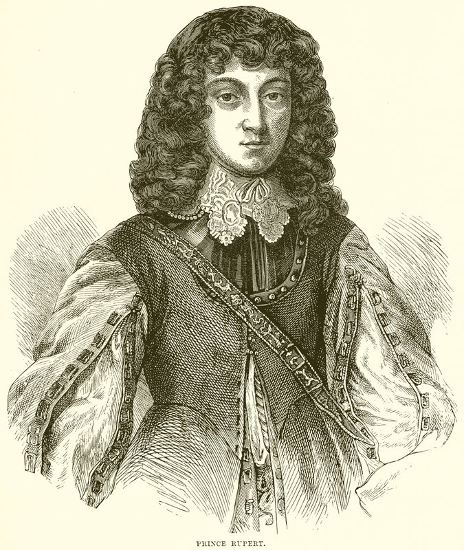 princ Rupert od English School