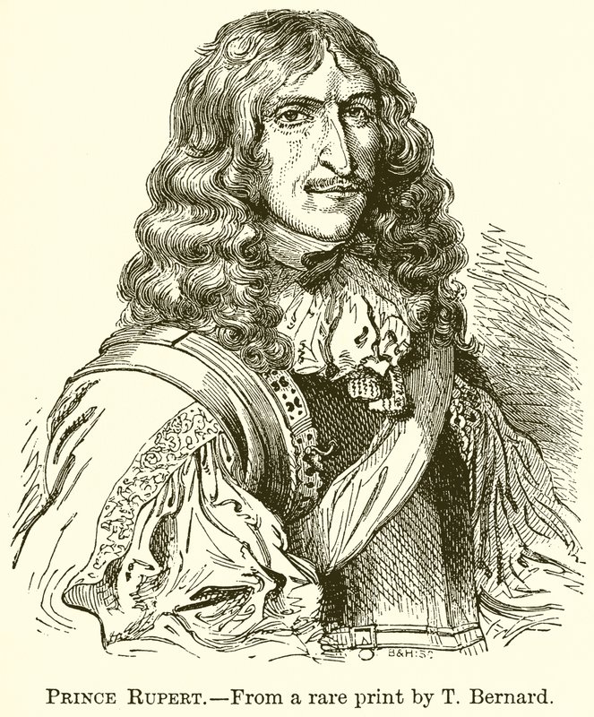 princ Rupert od English School