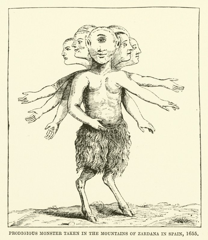 Podivuhodné monstrum zachycené v horách Zardana ve Španělsku, 1655 od English School