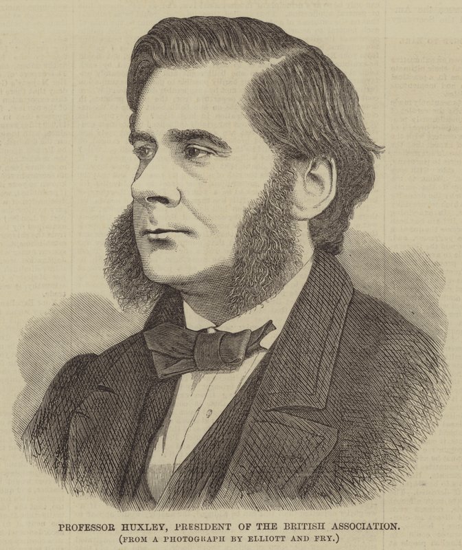 Profesor Huxley, prezident Britské asociace (rytina) od English School