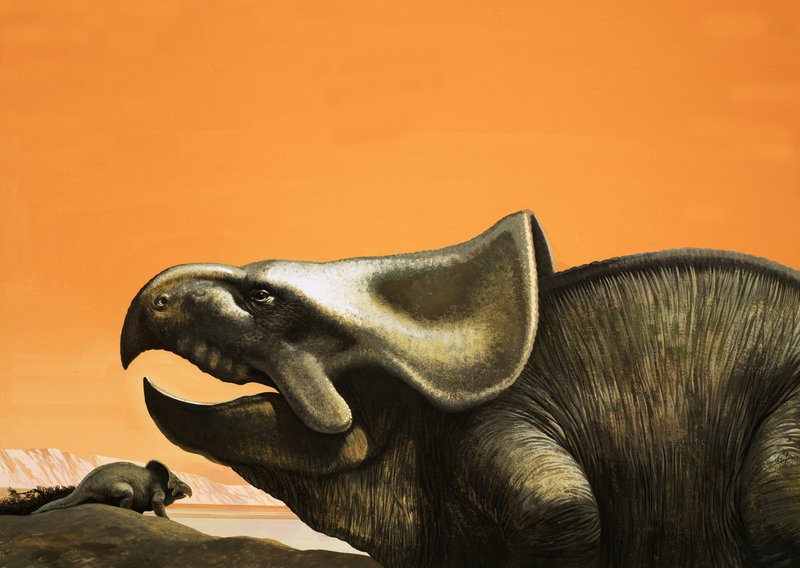 Protoceratops od English School