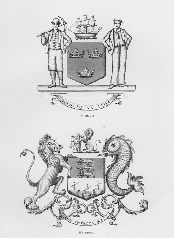 Veřejné zbraně: Tynemouth; Waterford (rytina) od English School