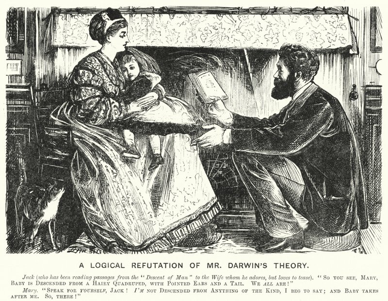 Punch cartoon: Logické vyvrácení teorie pana Darwina (rytina) od English School