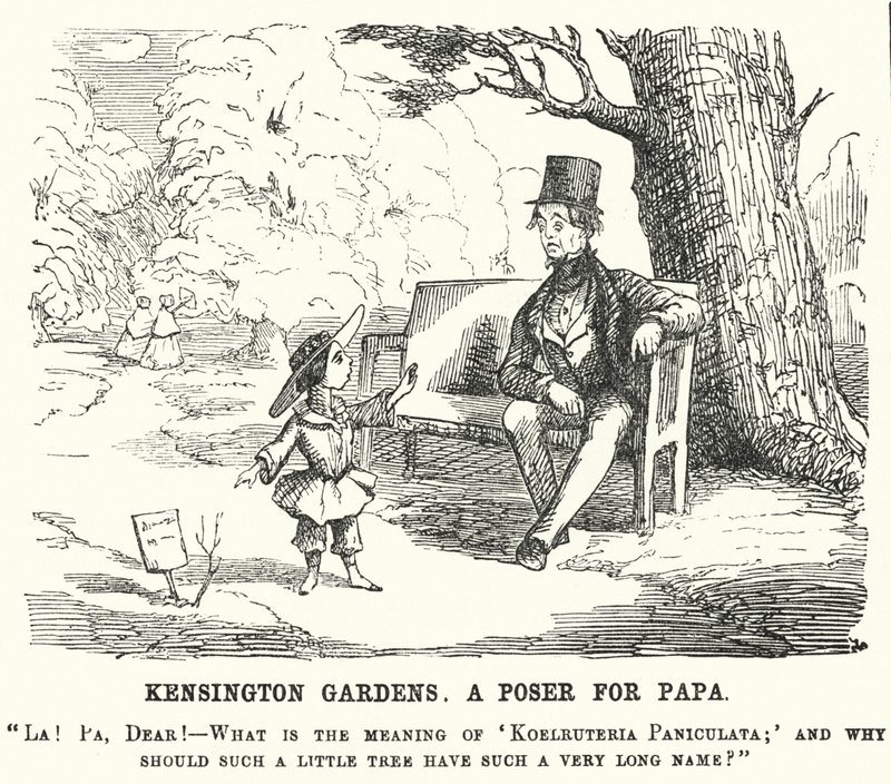 Punch cartoon: dítě se ptá svého otce na otázku v Kensington Gardens, Londýn (rytina) od English School