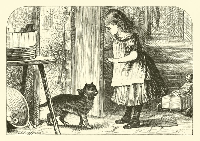 Pussy-Cat, Pussy-Cat od English School