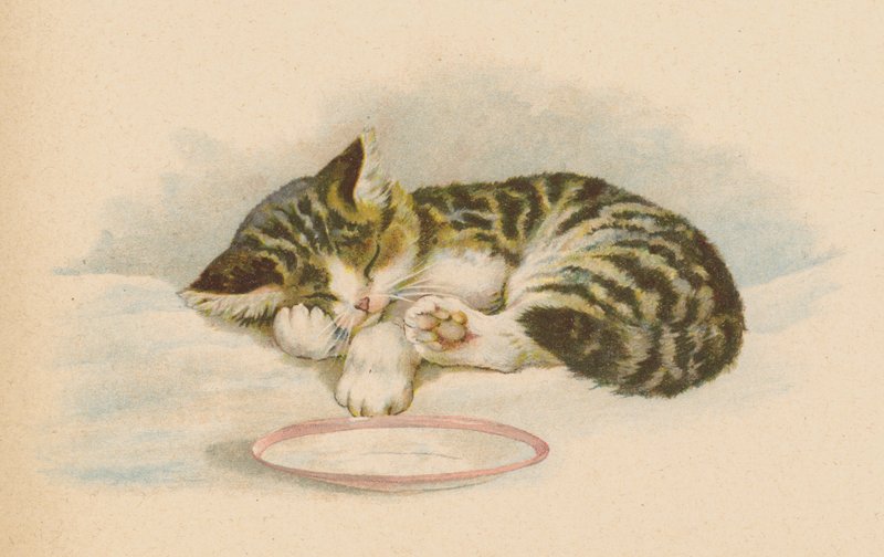 Pussy Cat (chromolitho) od English School