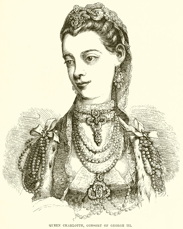 Queen Charlotte, Conseort of George III od English School