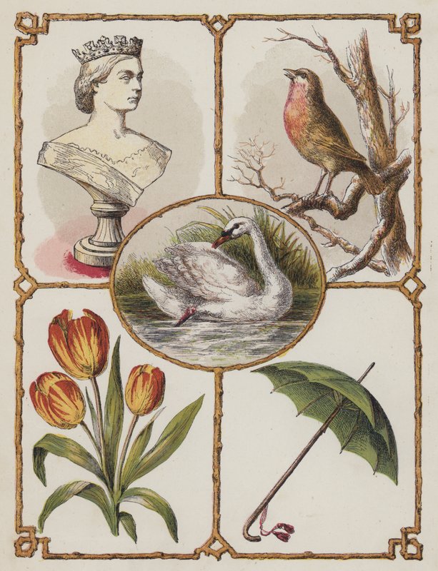 Královna, Robin, Labuť, Tulipán, Deštník (barva lito) od English School