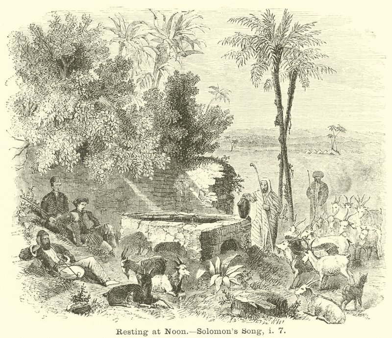 Odpočinek v poledne, Solomons Song, i, 7 od English School
