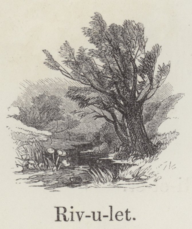 Rivulet (rytina) od English School