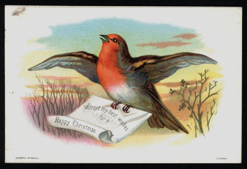 Robin s vánočním poselstvím, přáním. (chromolitho) od English School
