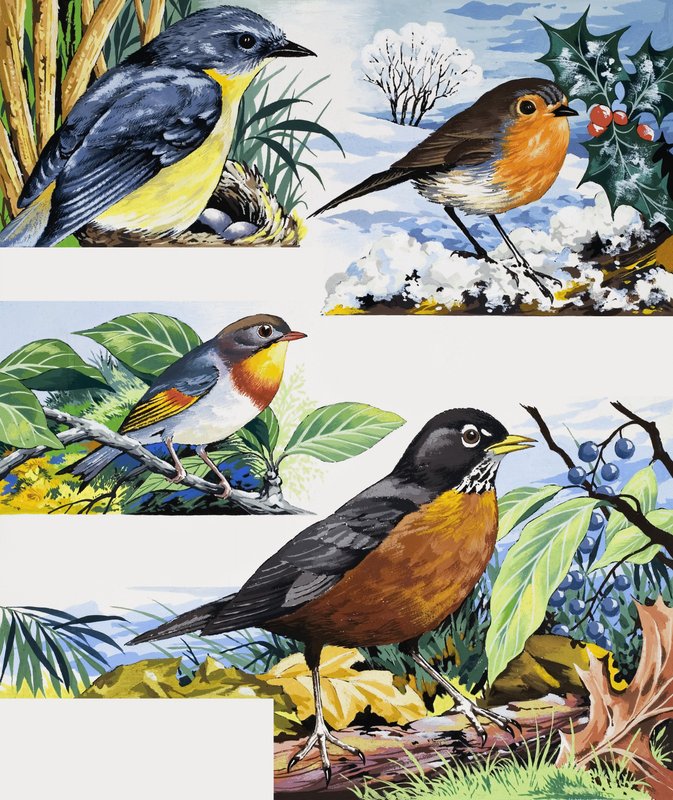 Robins od English School