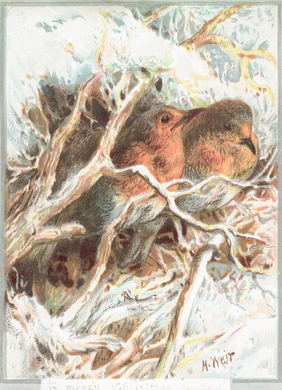 Robins sedí na větvi, vánoční přání od English School