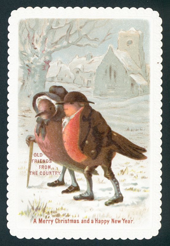 Robins na sobě oblečení, vánoční přání od English School