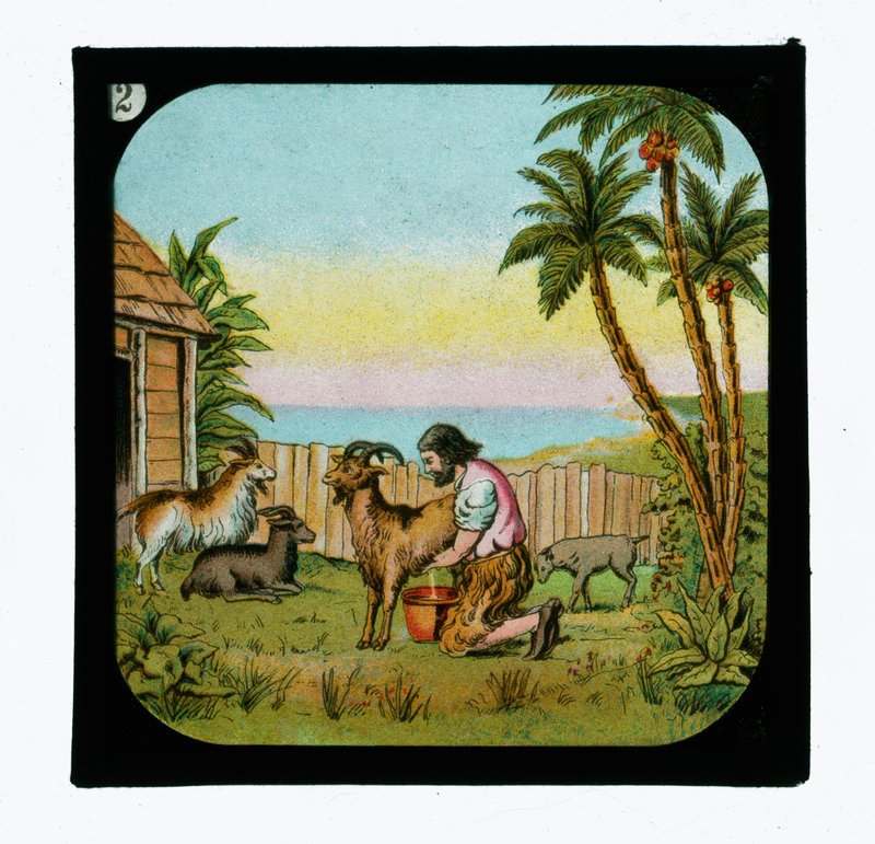 Robinson Crusoe od English School