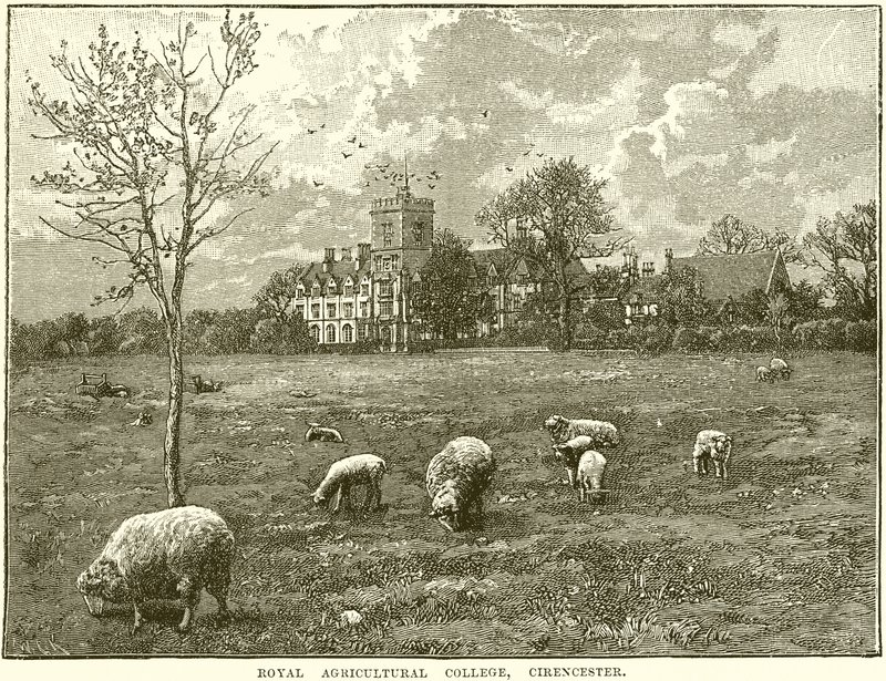 Royal Agricultural College, Cirencester od English School
