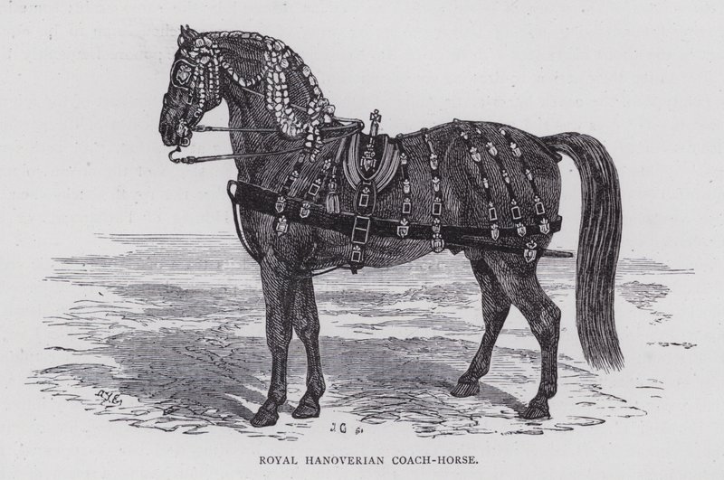 Royal Hanoverian Coach-Horse (rytina) od English School