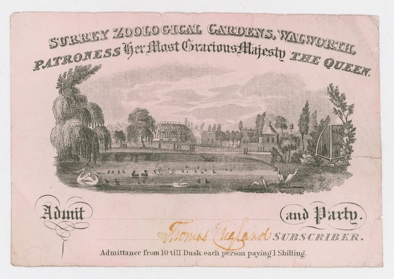 Royal Surrey Zoological Gardens, vstupenka od English School