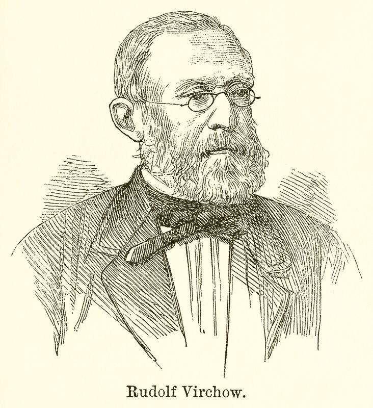 Rudolf Virchow od English School