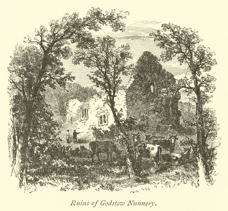 Ruiny kláštera Godstow Nunnery od English School