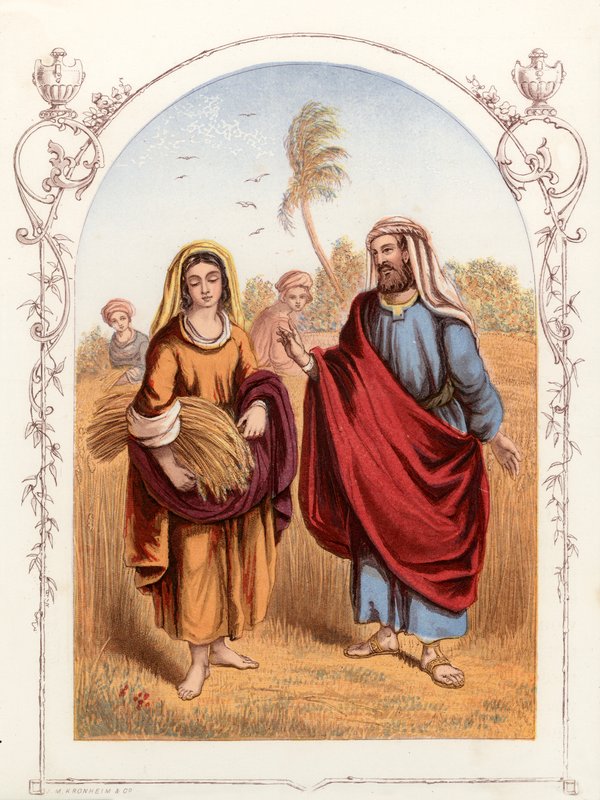 Ruth a Boaz od English School