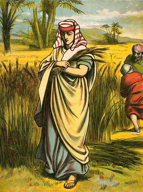 Ruth sbírá od English School