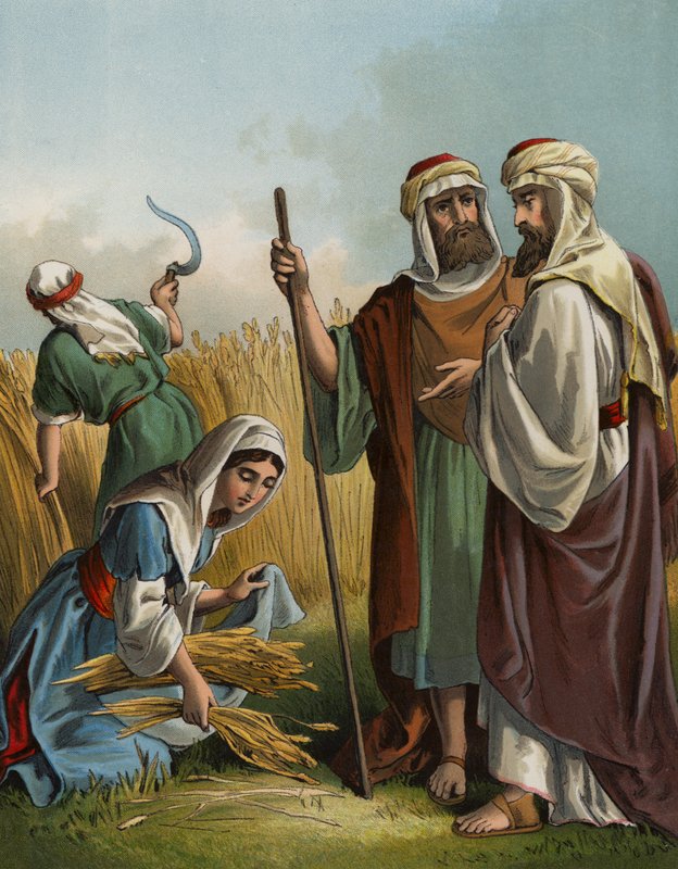 Ruth paběrkující na poli Boaz (chromolitho) od English School