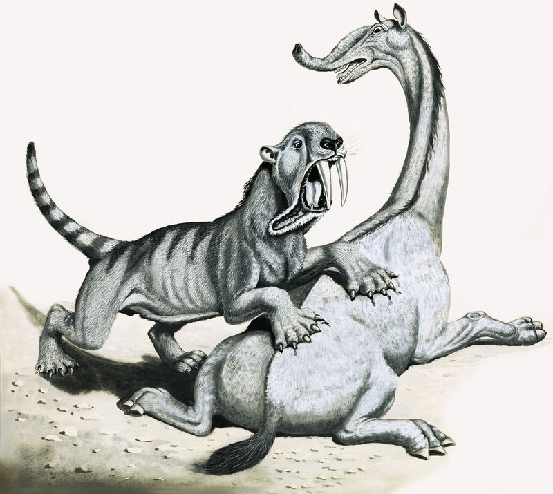 Šavlozubý tygr útočící na neidentifikované prehistorické stvoření od English School