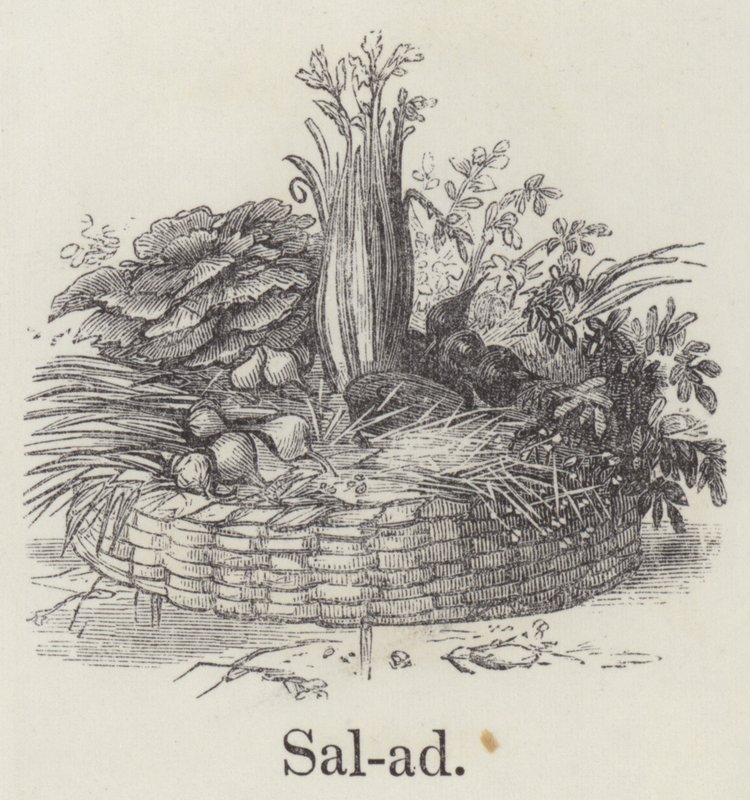 Salát (rytí) od English School