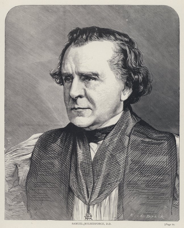 Samuel Wilberforce, DD (rytina) od English School