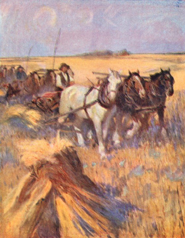 Saskatchewan, moderní Skot na vlastní vazbě (barevná litografie) od English School