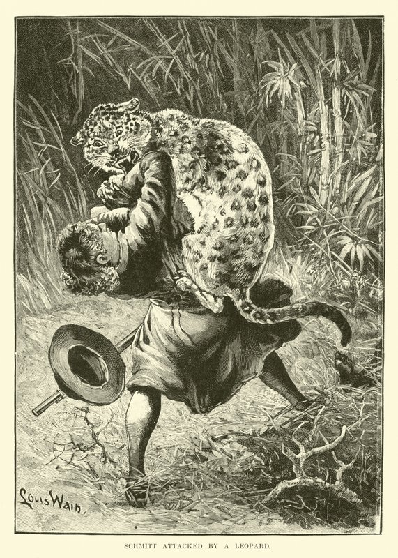Schmitt napaden leopardem od English School