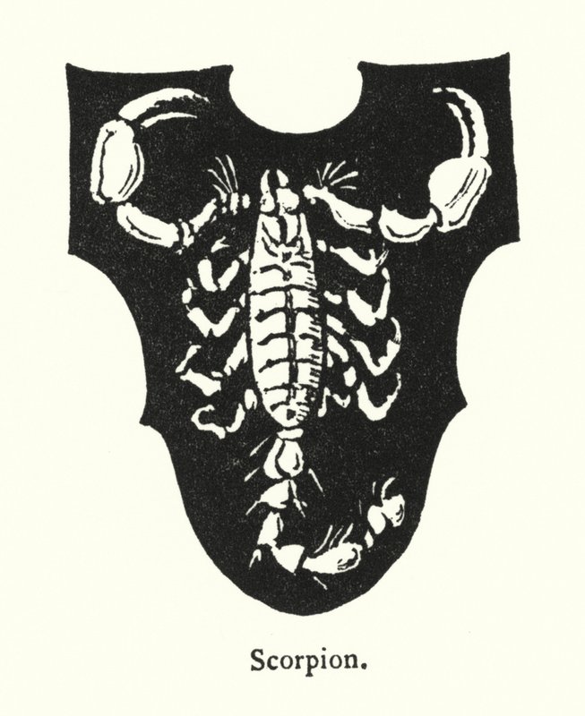 Scorpion (rytina) od English School