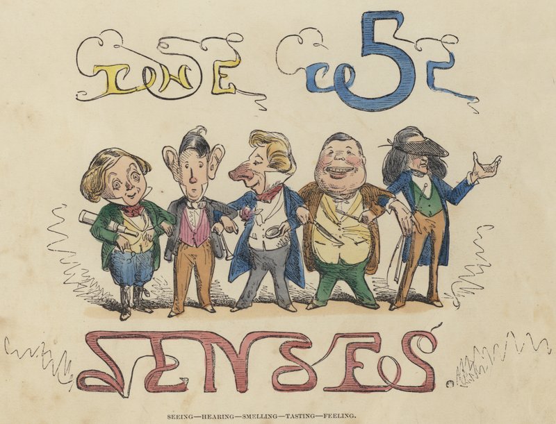 Vidění, slyšení, čich, ochutnávání, cítění (barevné rytí) od English School