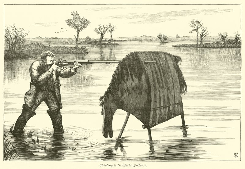 Střelba se stalking-horse od English School