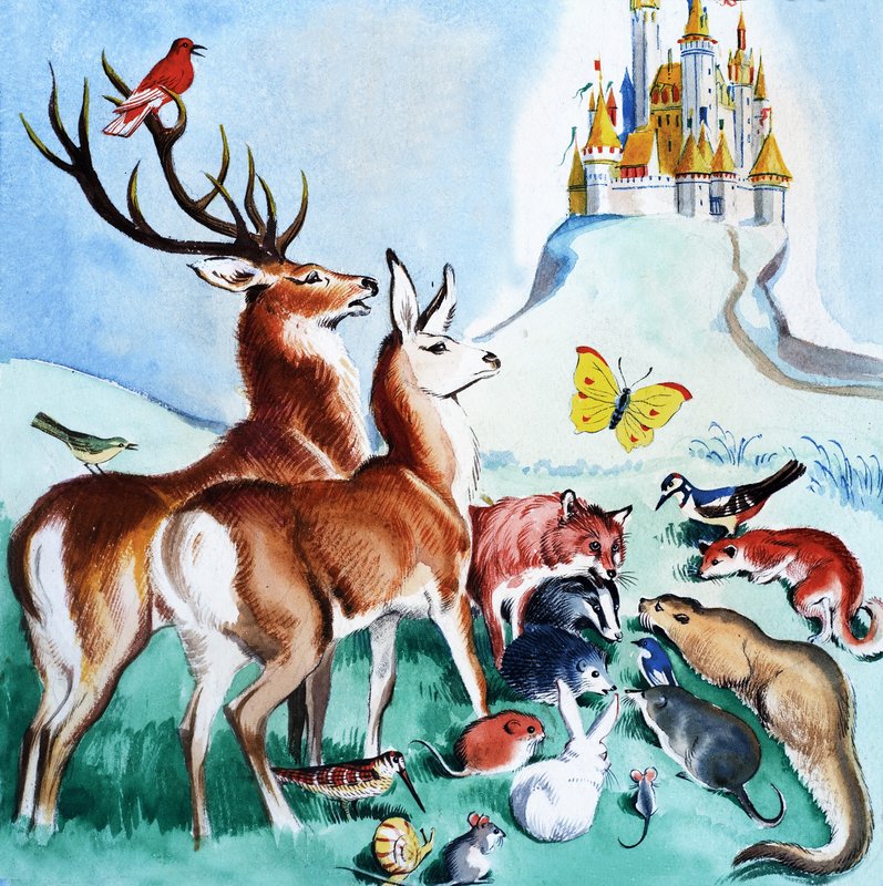 Měli by jít na hrad od English School