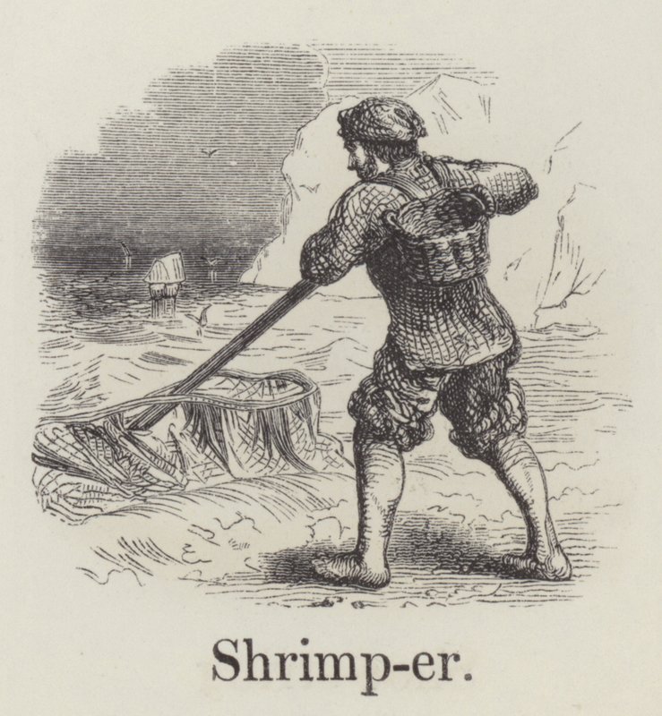 Shrimper (rytina) od English School