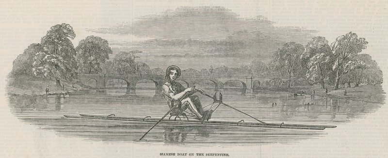 Siamská loď na Serpentine, Hyde Park, Lon od English School