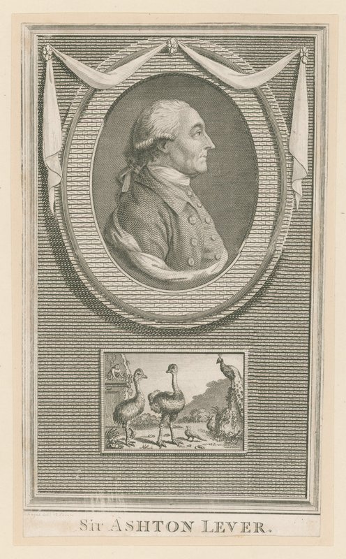Sir Ashton Lever od English School
