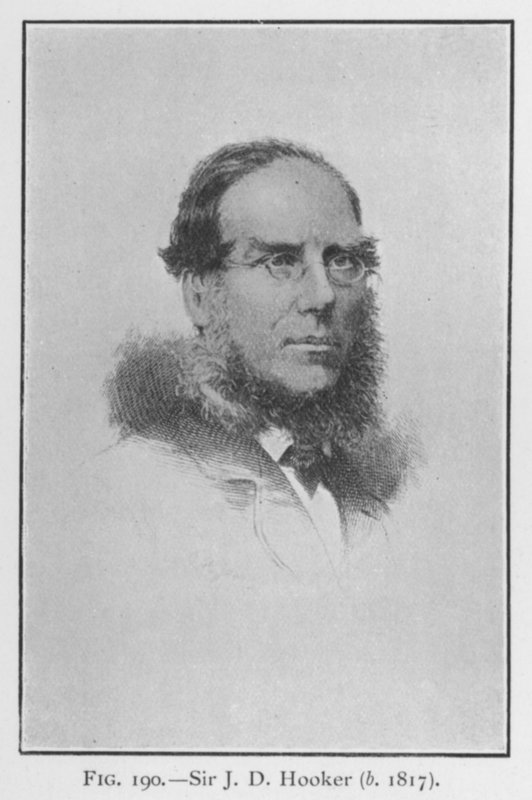Sir Joseph Dalton Hooker (1817-1911), portrét (litho) od English School