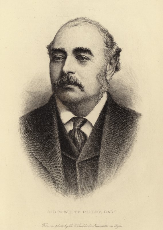 Sir M. White Ridley, Bart od English School