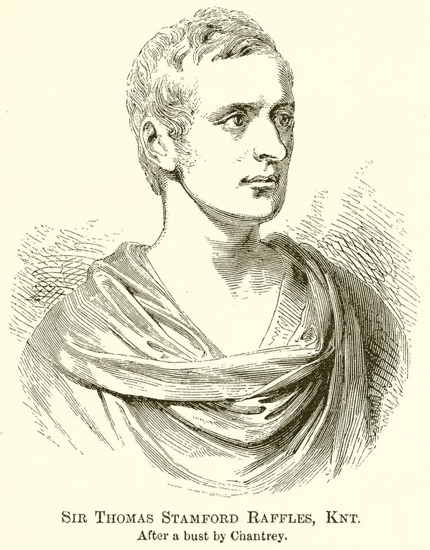 Sir Thomas Stamford Raffles, Knt od English School