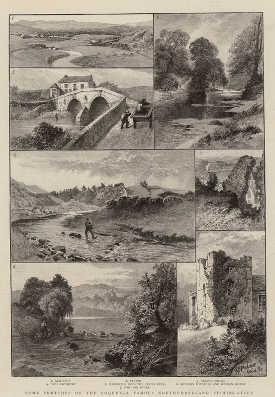 Některé náčrty na koketu, slavné rybářské řece Northumberland (rytina) od English School