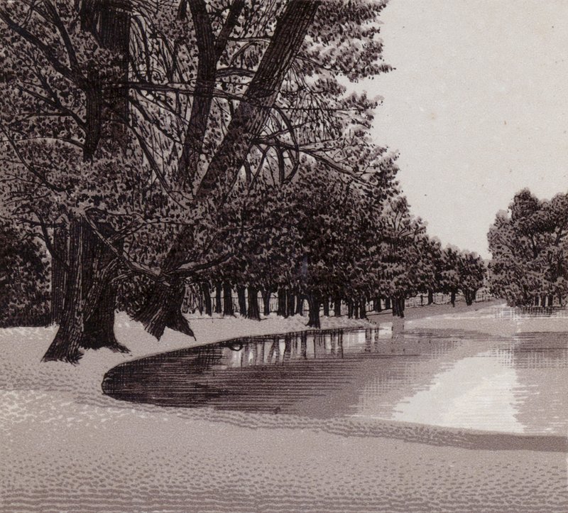 Sophia Gardens, Cardiff (litho) od English School
