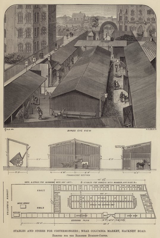 Stáje a obchody pro Costermongers, poblíž Columbia Market, Hackney Road, postavené pro baronku Burdett-Coutts (rytina) od English School