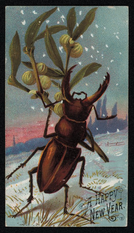 Roháč nesoucí jmelí v zimní scéně, vánoční blahopřání (chromolitho) od English School