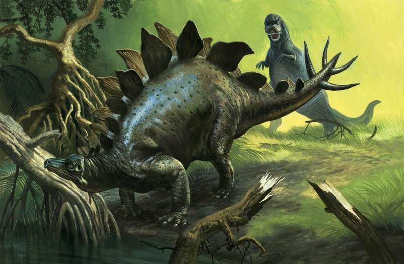Stegosaurus od English School